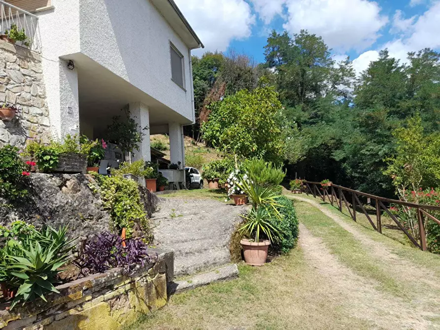 Immagine 64 di Rustico / casale in vendita  a Camaiore