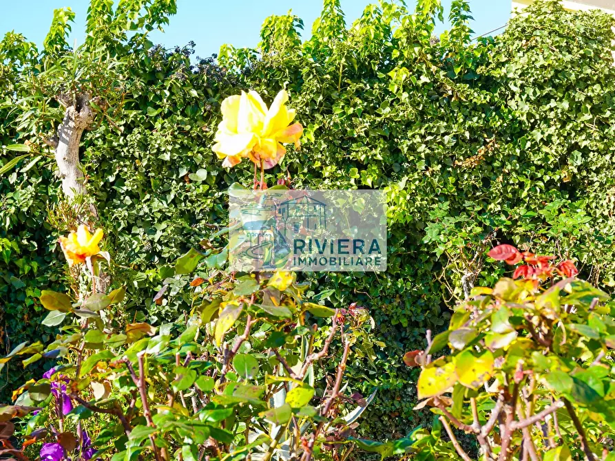 Immagine 39 di Trilocale in vendita  in Via Aurelia Ponente 86 a Santo Stefano Al Mare