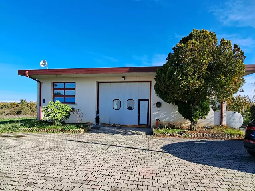 Immagine 1 di Attività artigianale in affitto  in SS538 a Orsogna