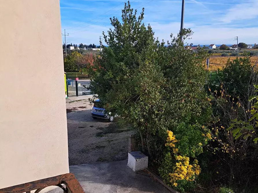 Immagine 15 di Terratetto in vendita  in Contrada da Cona 34 a San Vito Chietino