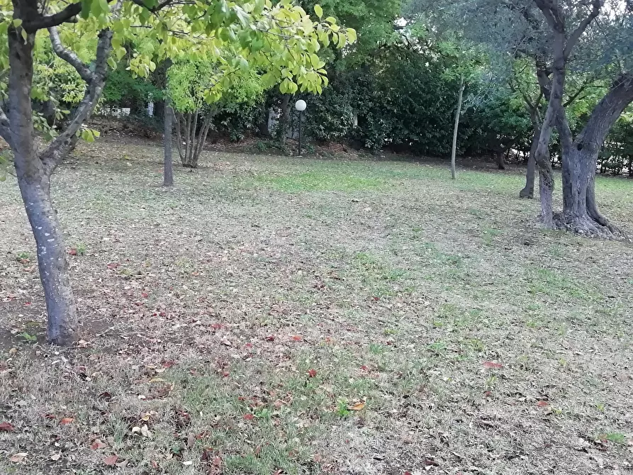 Immagine 25 di Villa in vendita  in Via Francesco Masciangelo a Lanciano