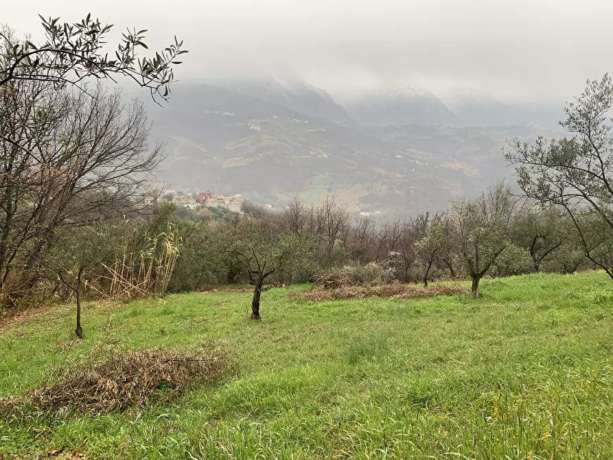 Immagine 5 di Casa semindipendente in vendita  a Gessopalena