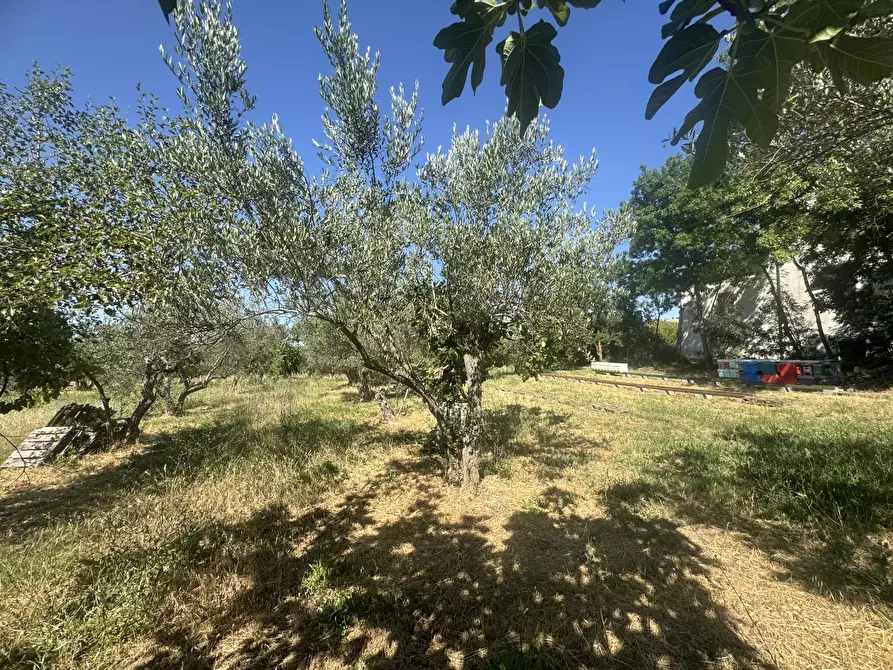 Immagine 5 di Casa indipendente in vendita  in torricchio a Tornareccio