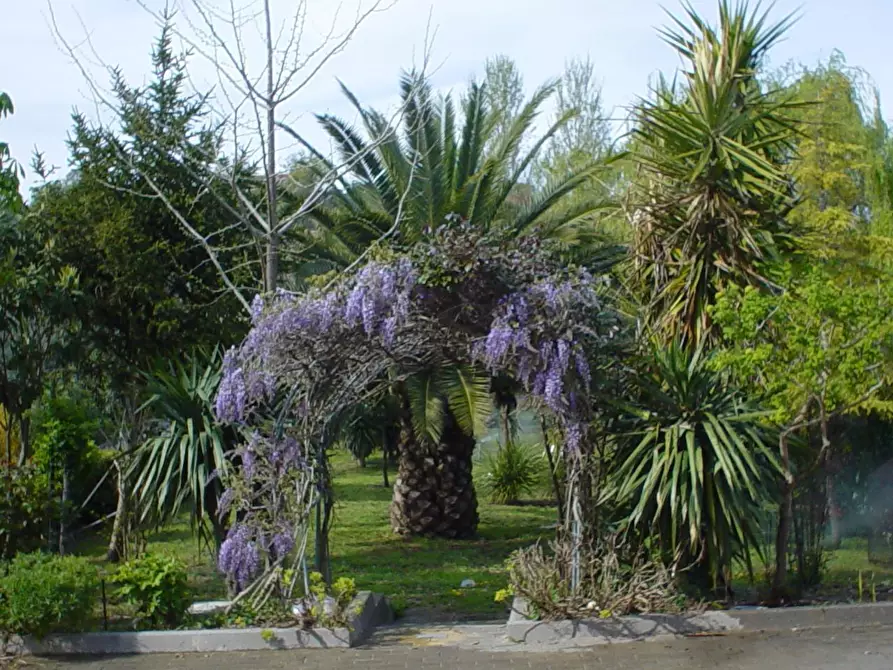 Immagine 13 di Rustico / casale in affitto  in Località Lido le Morge 61 a Torino Di Sangro