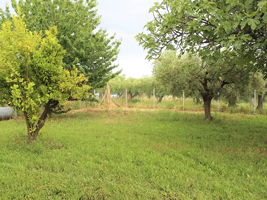 Immagine 2 di Villa in vendita  in Contrada Torre Sansone 69 a Lanciano