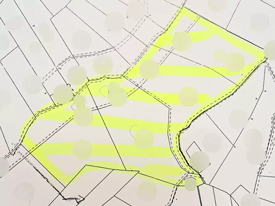 Immagine 11 di Terreno agricolo in vendita  in Via Ciommi a Castel Frentano