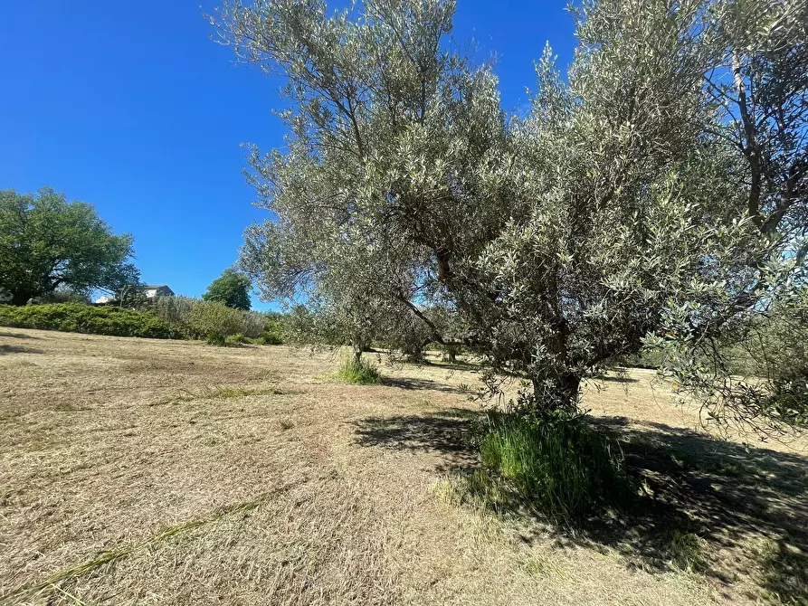 Immagine 5 di Casa indipendente in vendita  in contrada ranco 55 a Paglieta