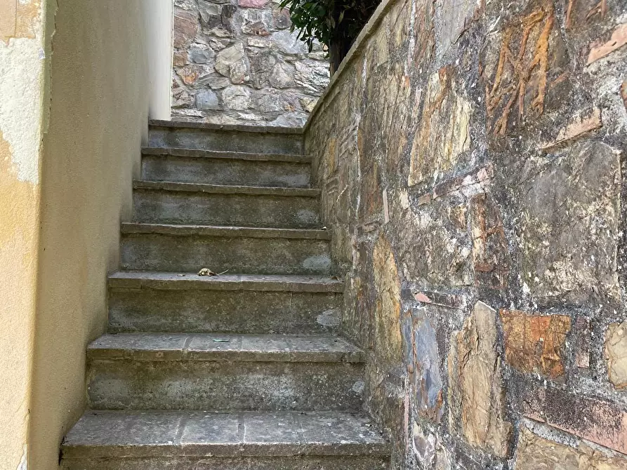 Immagine 6 di Rustico / casale in vendita  in Via della Sassetta a Castagneto Carducci