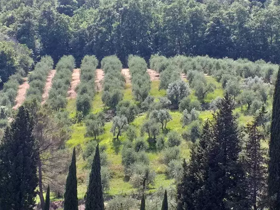 Immagine 6 di Villa in vendita  in via san giusto a Livorno