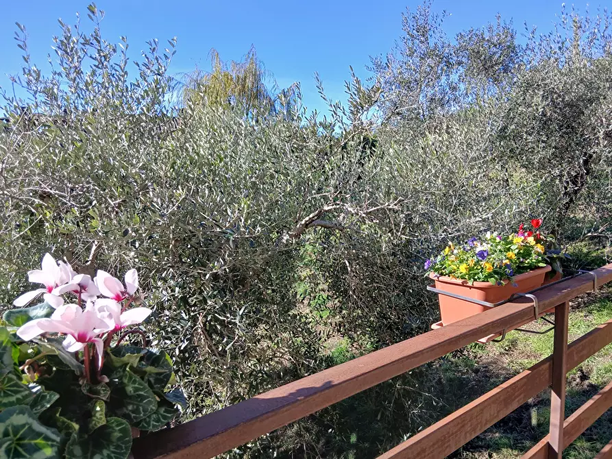 Immagine 44 di Trilocale in vendita  in Via Vittorio Alfieri 10 a Morlupo