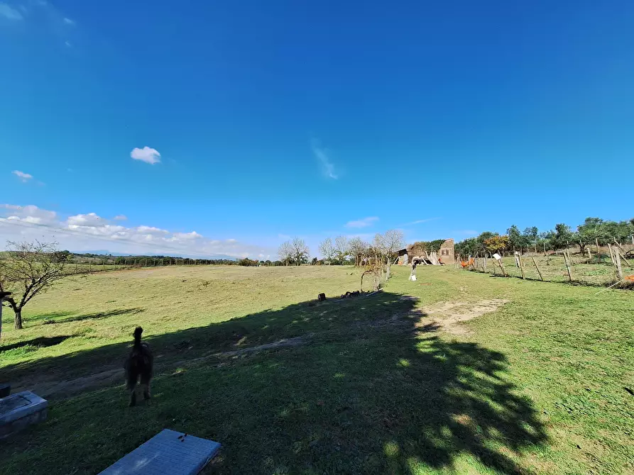Immagine 81 di Villa in vendita  in Strada Comunale Campo Maggiore 10 a Rignano Flaminio