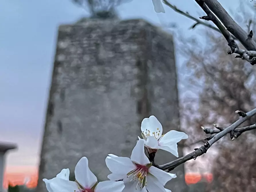 Immagine 17 di Villa in affitto  in Strada San Caterina 27 a Viterbo