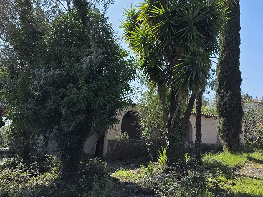 Immagine 43 di Terreno agricolo in vendita  in Via Enrico Fermi 13 a Morlupo