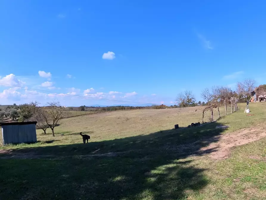 Immagine 22 di Villa in vendita  in Strada Comunale Campo Maggiore 10 a Rignano Flaminio