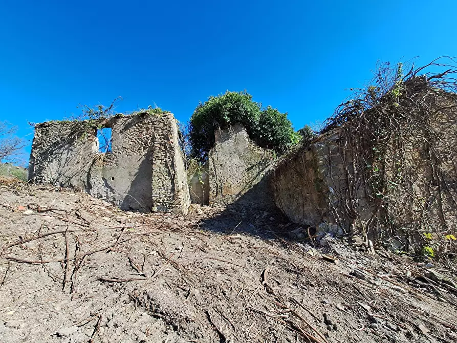 Immagine 3 di Terreno agricolo in vendita  in Via delle Grotte 1521 a Morlupo
