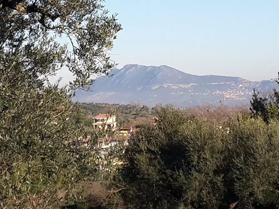 Immagine 1 di Terreno edificabile in vendita  in Via Enzo Ferrari 5 a Morlupo