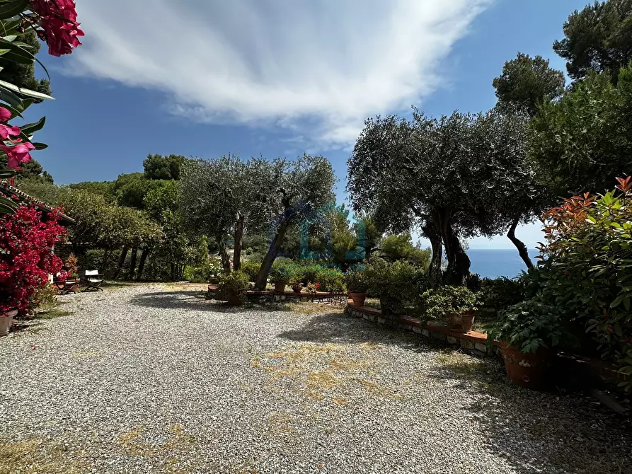 Immagine 2 di Villa in vendita  in Viale Vittorio Veneto 31 a Imperia