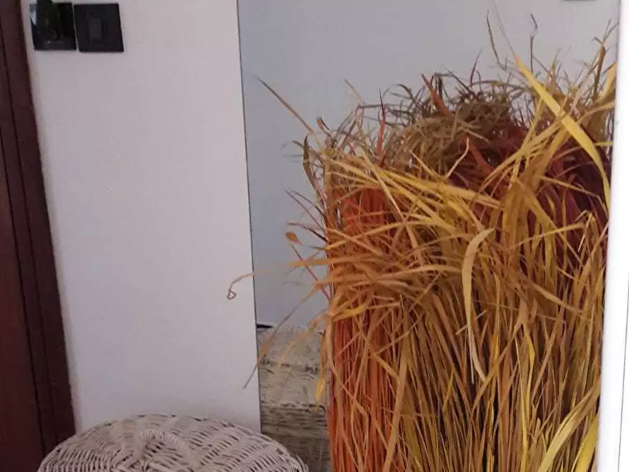 Immagine 13 di Bilocale in affitto  a Lavagna