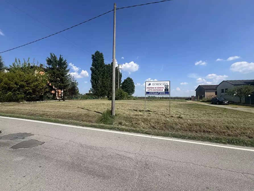 Immagine 2 di Terreno edificabile in vendita  in Via per Riolo 46 a Castelfranco Emilia