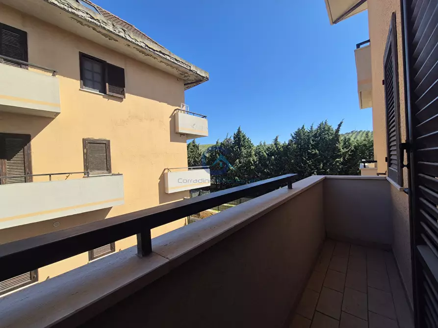 Immagine 9 di Quadrilocale in affitto  in Via dei Conti Falluc 126 a Catanzaro