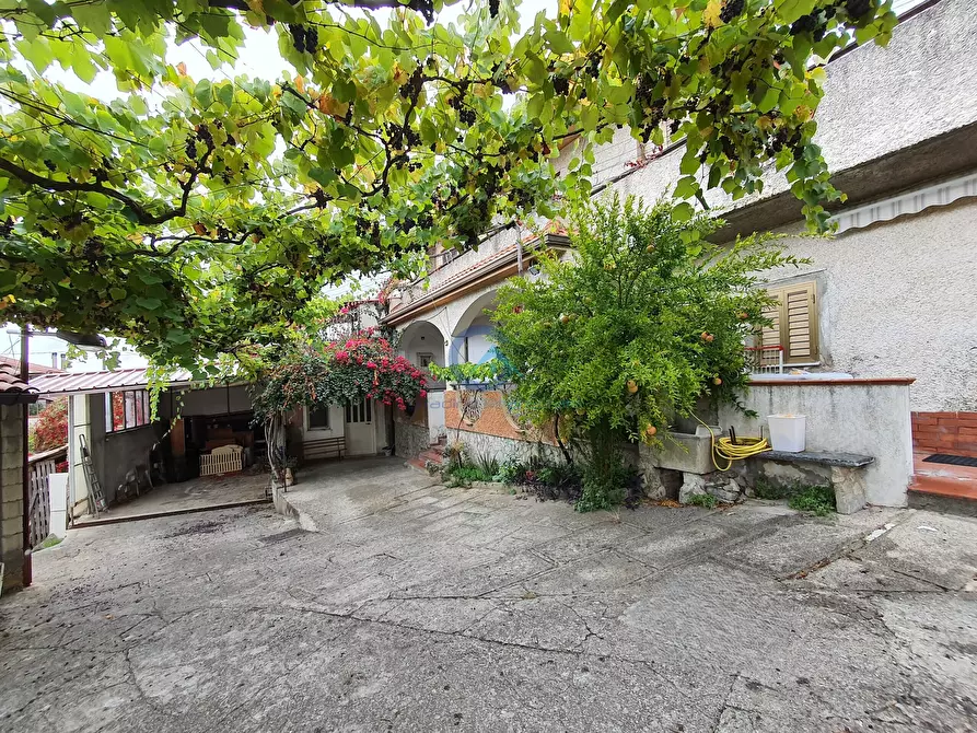 Immagine 30 di Villetta a schiera in vendita  in Via Scopelliti 23 a Marcellinara