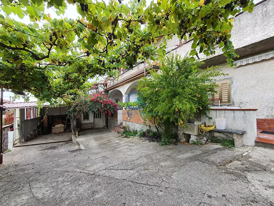 Immagine 29 di Villetta a schiera in vendita  in Via Scopelliti 23 a Marcellinara