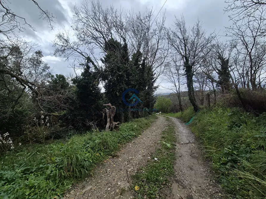 Immagine 8 di Magazzino in vendita  in CONTRADA CERASIA a Borgia