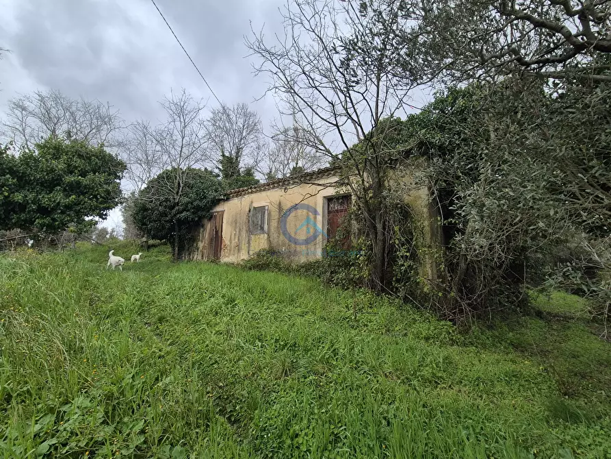 Immagine 5 di Magazzino in vendita  in CONTRADA CERASIA a Borgia