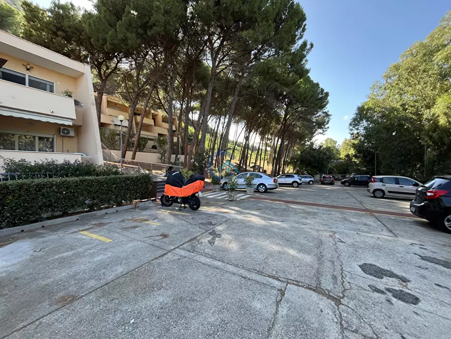 Immagine 22 di Quadrilocale in vendita  a Stalettì