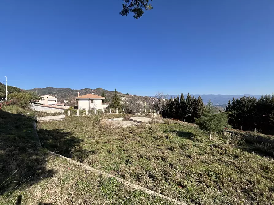 Immagine 1 di Terreno edificabile in vendita  a Catanzaro