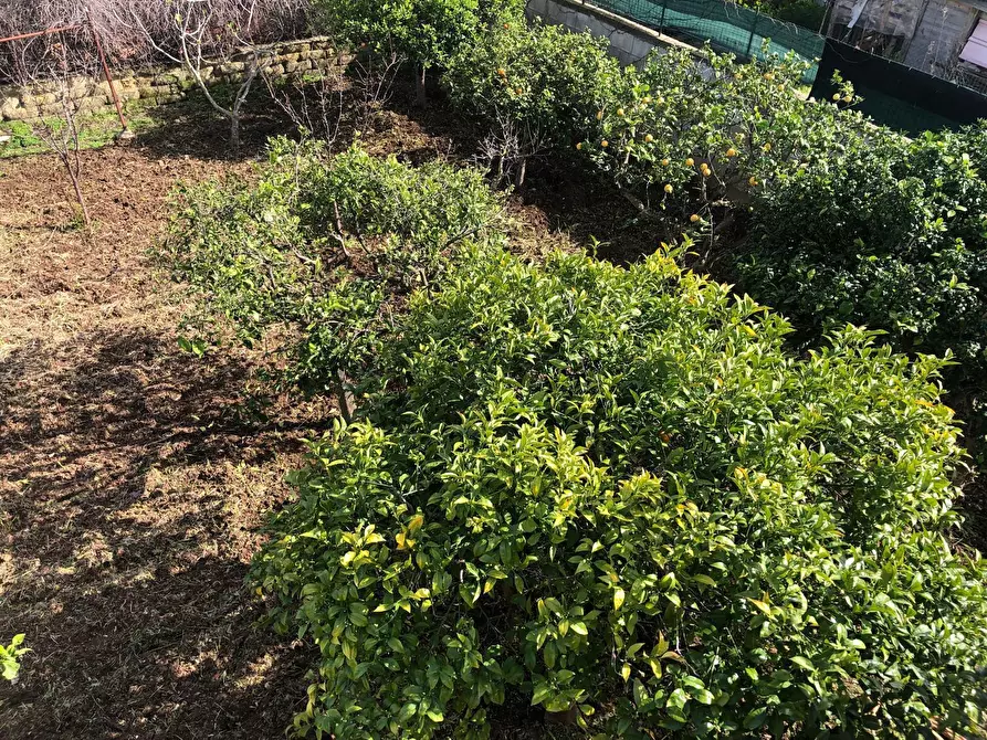 Immagine 89 di Casa indipendente in vendita  in VIA ISOLE DELLA  CALEDONIA a Siracusa