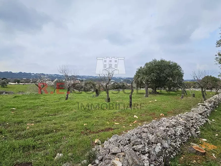 Immagine 17 di Rustico / casale in vendita  a Martina Franca