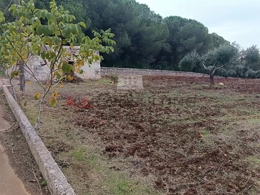 Immagine 7 di Stanza singola in vendita  in strada Cupina a Martina Franca
