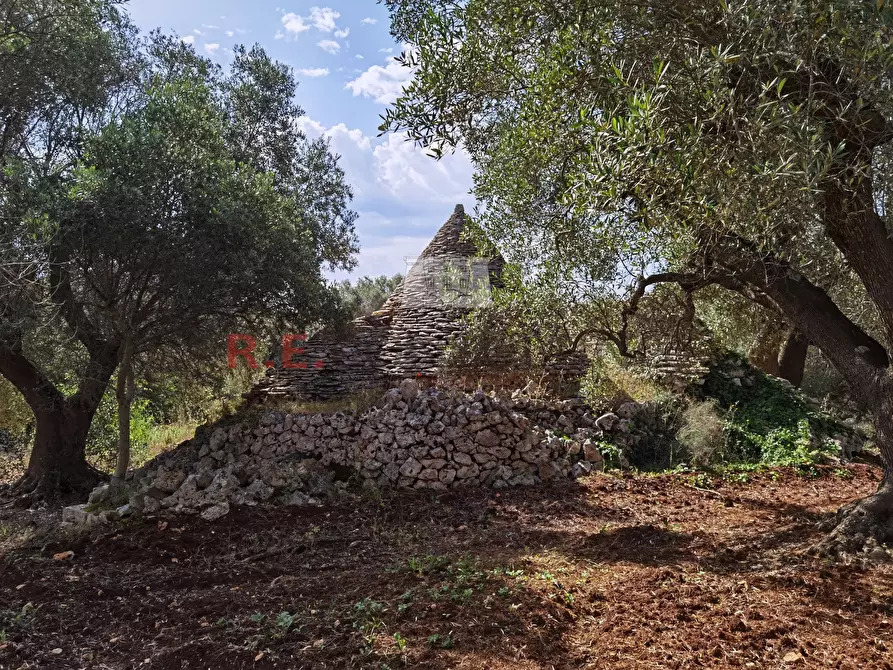 Immagine 6 di Baita in vendita  a Ceglie Messapico