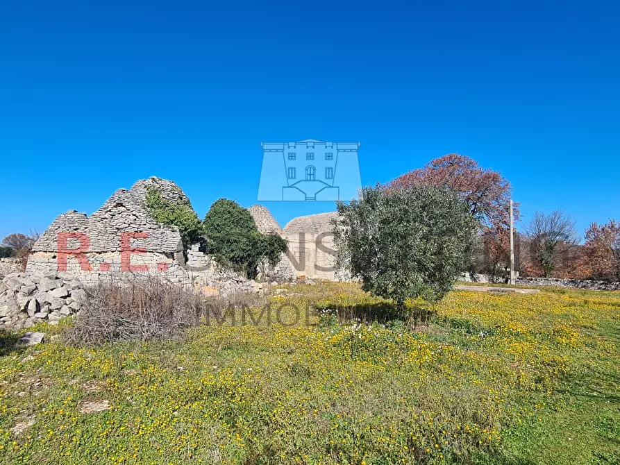 Immagine 9 di Baita in vendita  in Contrada Montemichele 14 a Ostuni