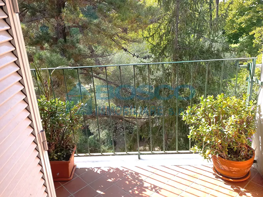 Immagine 3 di Pentalocale in vendita  in via Doninzetti a La Spezia