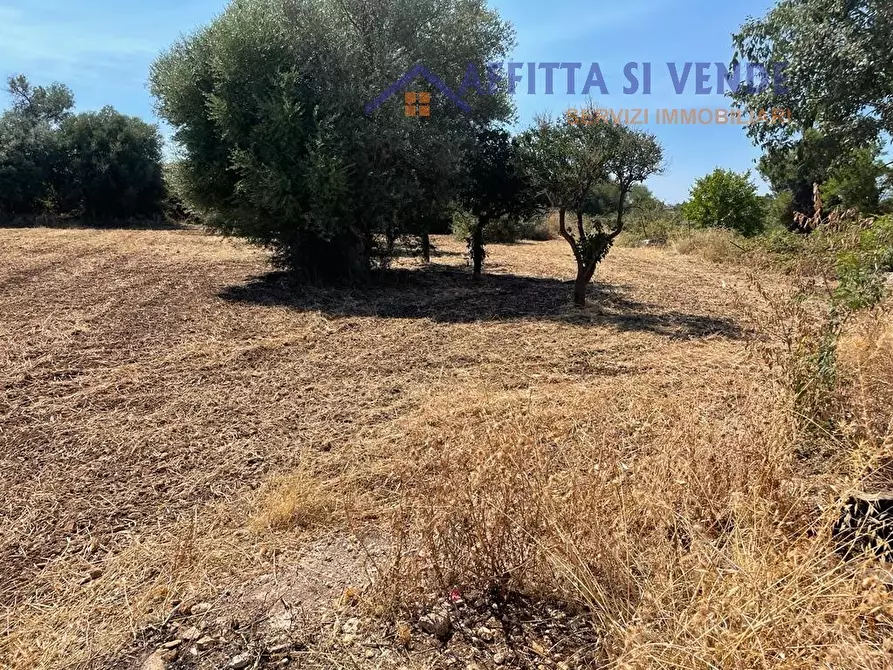 Immagine 13 di Terreno agricolo in vendita  in Traversa Maeggio di Sopra a Siracusa