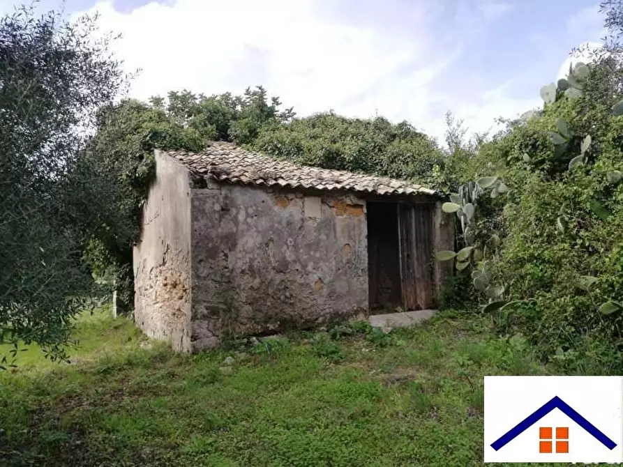 Immagine 15 di Rustico / casale in vendita  in isola a Siracusa