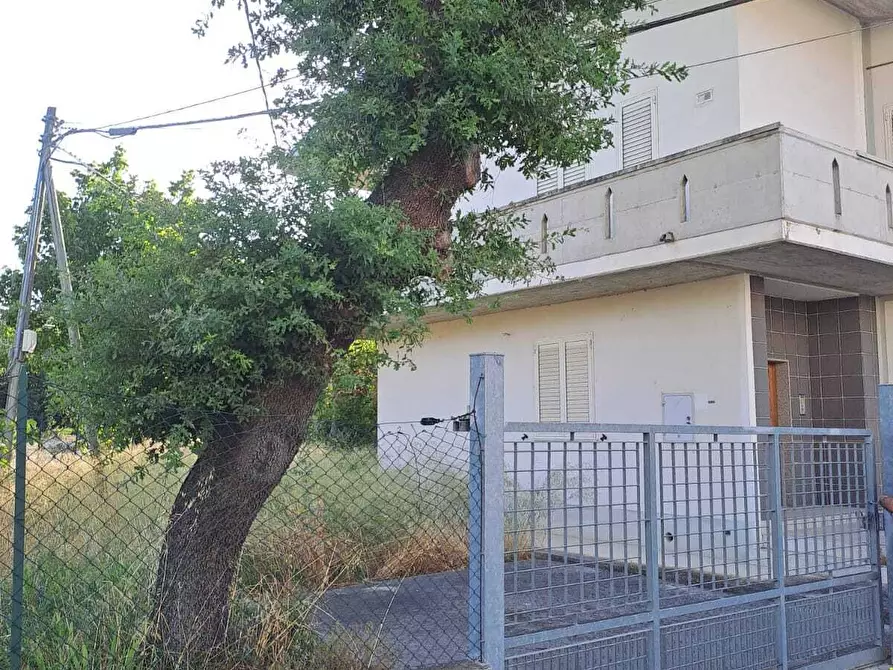 Immagine 5 di Casa indipendente in vendita  a Alanno