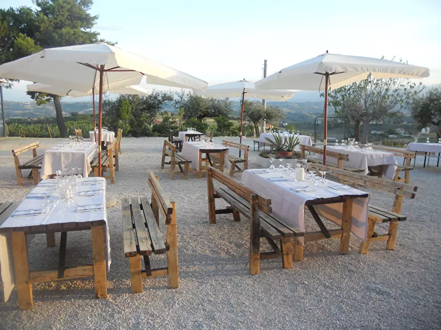 Immagine 9 di Azienda agricola in affitto  a Città Sant'angelo