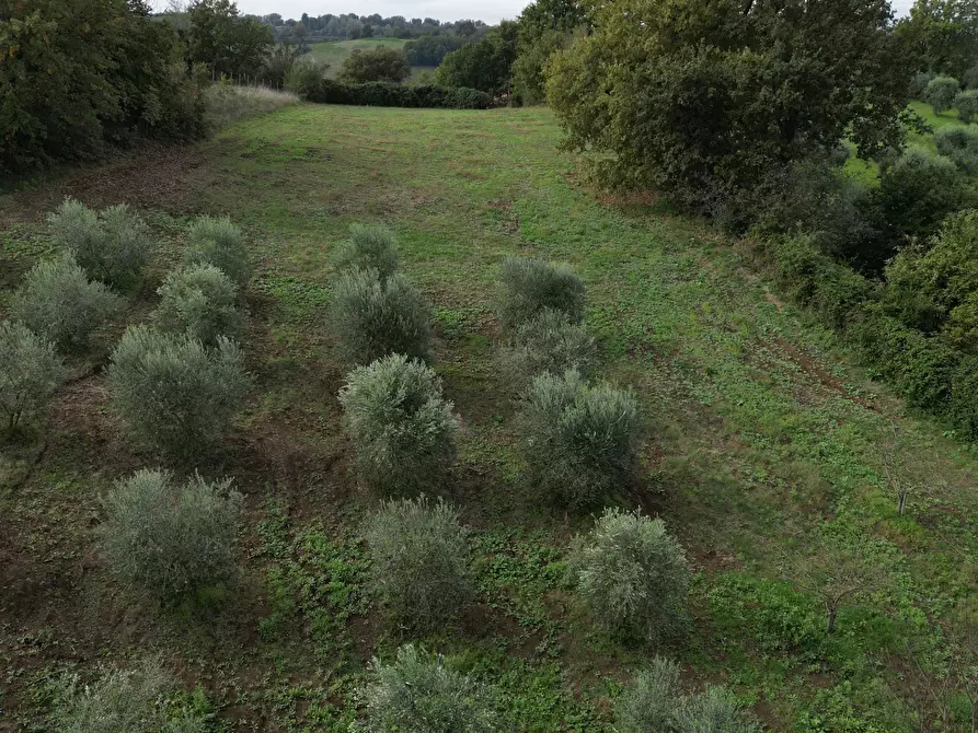 Immagine 4 di Casa indipendente in vendita  a Civitella San Paolo