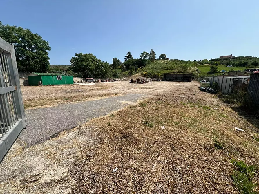 Immagine 10 di Terreno agricolo in vendita  a Fiano Romano