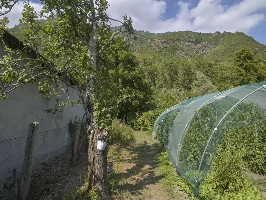 Immagine 59 di Quadrilocale in vendita  in via torino 4 a Lemie
