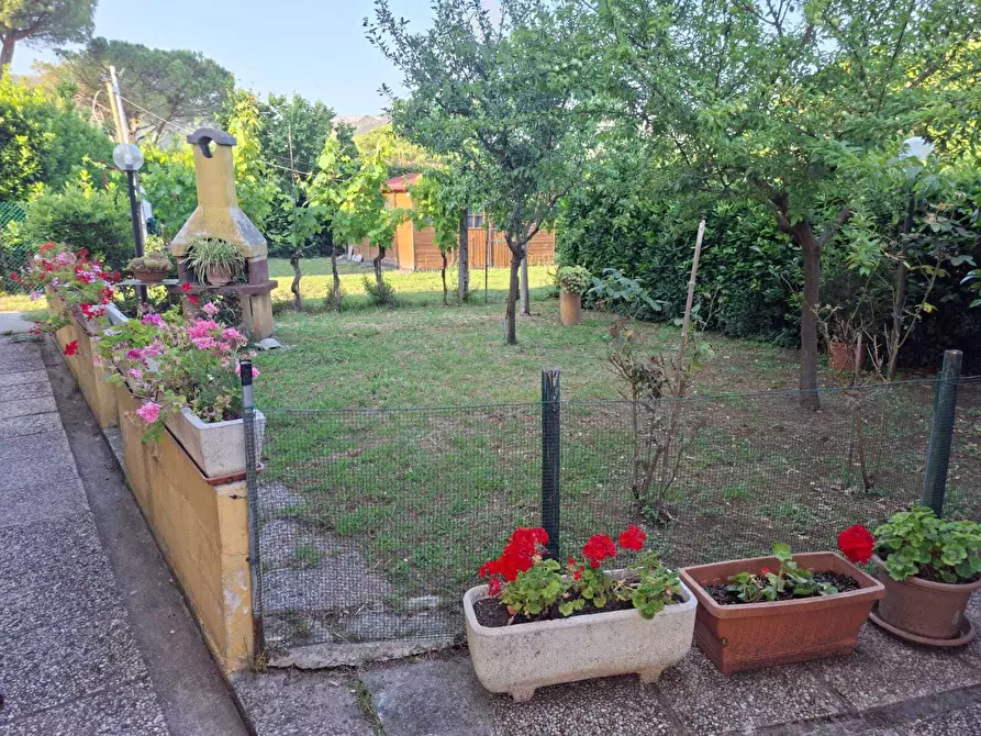 Immagine 14 di Terratetto in vendita  a San Giuliano Terme