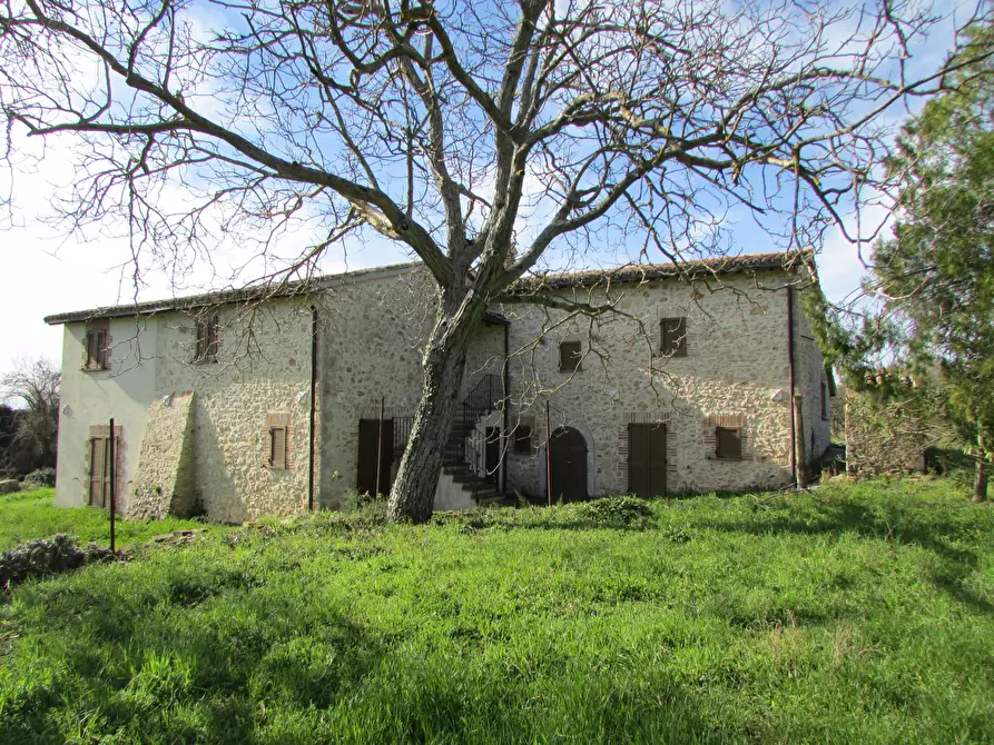Immagine 3 di Porzione di casa in vendita  a Massa Martana