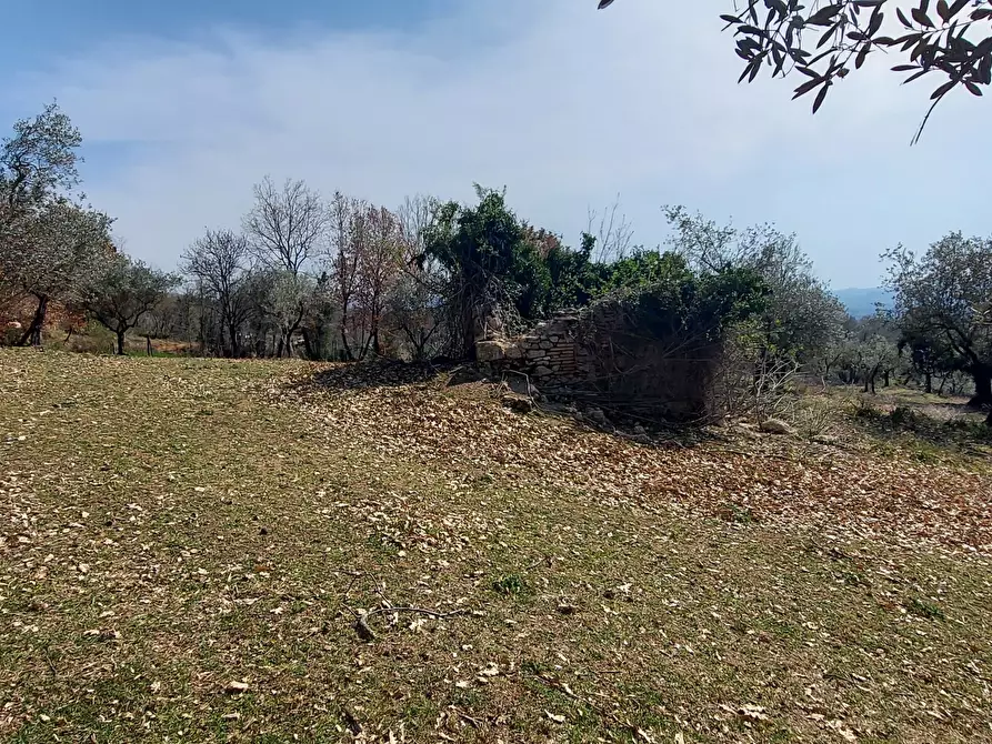 Immagine 15 di Terreno agricolo in vendita  a Massa Martana
