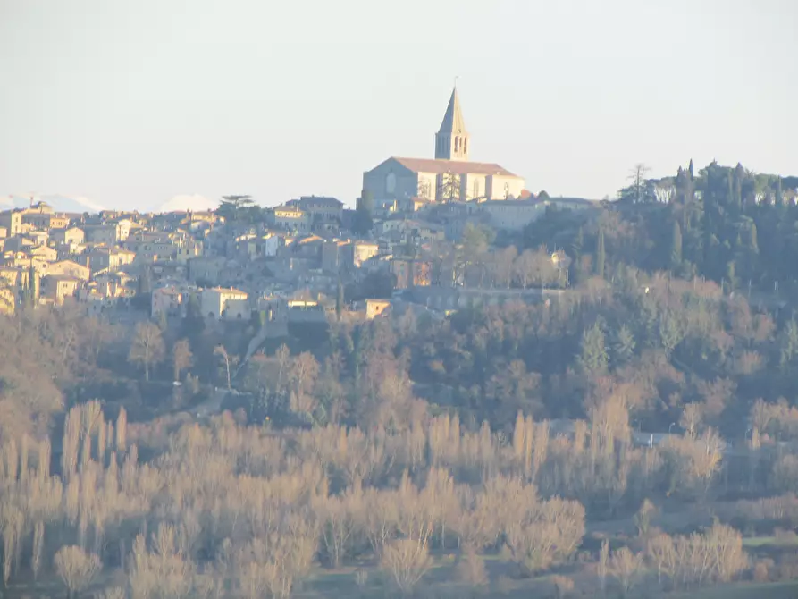Immagine 8 di Rustico / casale in vendita  a Todi