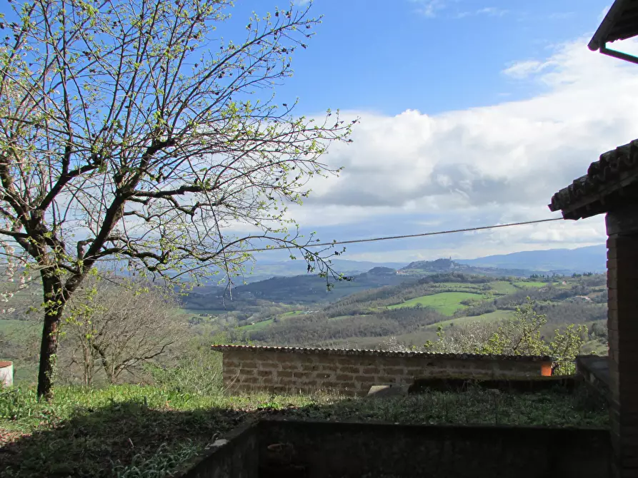 Immagine 21 di Rustico / casale in vendita  a Todi