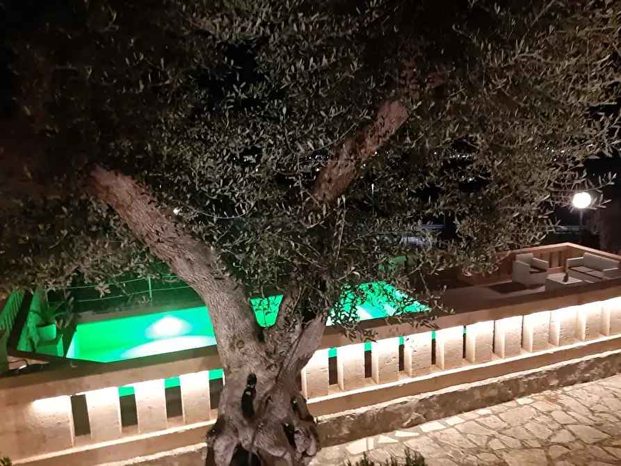 Immagine 37 di Rustico / casale in vendita  in Viale Monte Cannone a Fasano