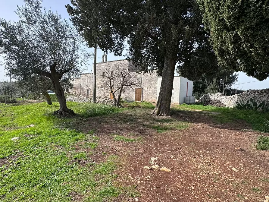 Immagine 6 di Porzione di casa in vendita  in contrada tavarello a Monopoli